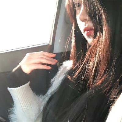 风飞鲨