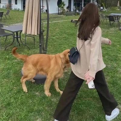 狼与香辛料第二季